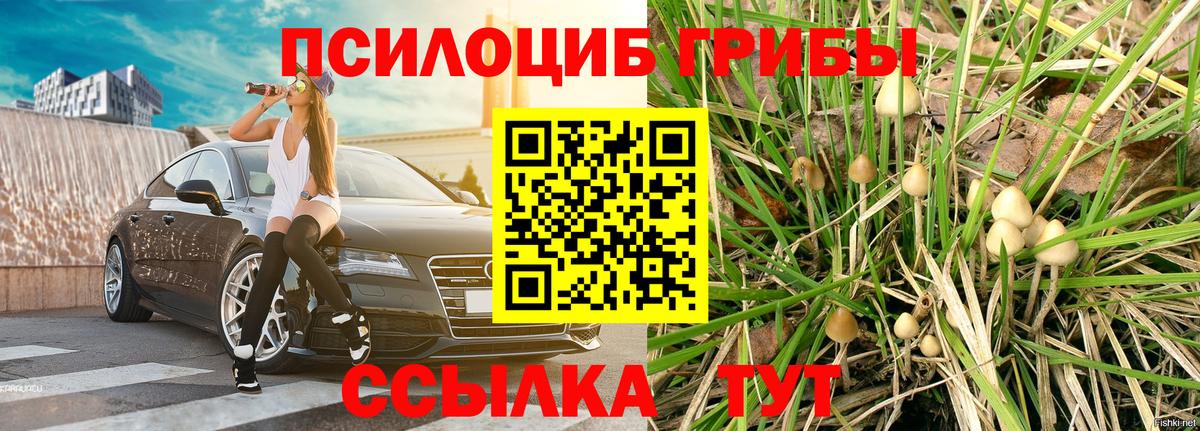 Псилоцибиновые грибы ЛСД Октябрьский