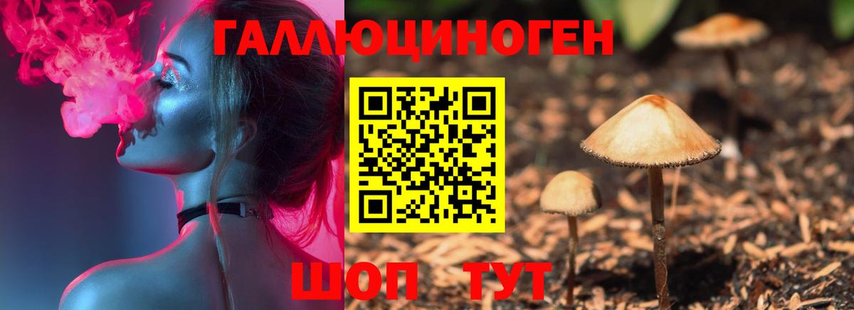 магазин  наркотиков  Вход с VPN  Октябрьский  Псилоцибиновые грибы Psilocybine cubensis 
